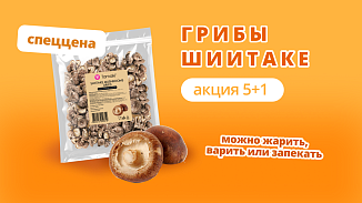 Грибы Шиитаке 5+1